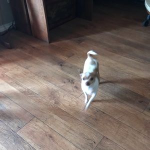 Meet your Posher, Keaton